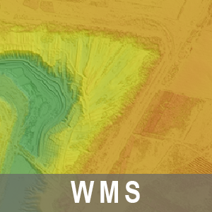 WMS Bildbasiertes Digitales Oberflächenmodell 1 m Bodenauflösung Brandenburg